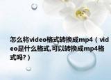 怎么将video格式转换成mp4（video是什么格式,可以转换成mp4格式吗?）