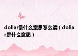 dollar是什么意思怎么读（dollar是什么意思）