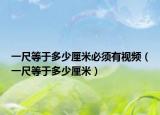 一尺等于多少厘米必须有视频（一尺等于多少厘米）