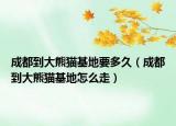 成都到大熊猫基地要多久（成都到大熊猫基地怎么走）