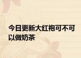 今日更新大红袍可不可以做奶茶