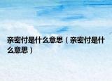 亲密付是什么意思（亲密付是什么意思）