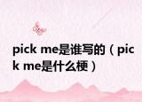 pick me是谁写的（pick me是什么梗）