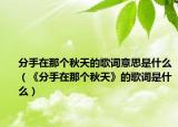 分手在那个秋天的歌词意思是什么（《分手在那个秋天》的歌词是什么）