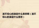 漫不经心的漫是什么意思呢（漫不经心的漫是什么意思）