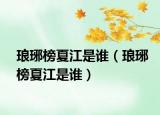 琅琊榜夏江是谁（琅琊榜夏江是谁）