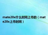 mate20x什么时间上市的（mate20x上市时间）