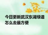 今日更新武汉东湖绿道怎么去最方便