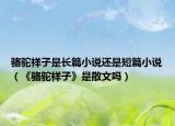 骆驼祥子是长篇小说还是短篇小说（《骆驼祥子》是散文吗）
