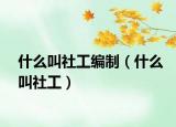 什么叫社工编制（什么叫社工）