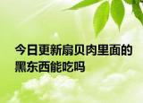 今日更新扇贝肉里面的黑东西能吃吗