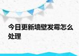 今日更新墙壁发霉怎么处理