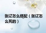 张辽怎么搭配（张辽怎么死的）