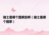瑞士是哪个国家的啊（瑞士是哪个国家）
