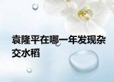 袁隆平在哪一年发现杂交水稻