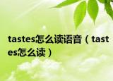 tastes怎么读语音（tastes怎么读）