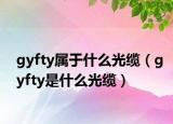 gyfty属于什么光缆（gyfty是什么光缆）
