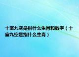 十室九空是指什么生肖和数字（十室九空是指什么生肖）