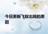 今日更新飞蚁出现的原因