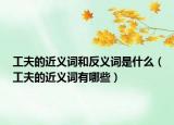 工夫的近义词和反义词是什么（工夫的近义词有哪些）