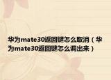 华为mate30返回键怎么取消（华为mate30返回键怎么调出来）