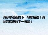 清瑟怨遥夜的下一句歇后语（清瑟怨遥夜的下一句是）