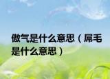 傲气是什么意思（屌毛是什么意思）