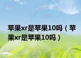 苹果xr是苹果10吗（苹果xr是苹果10吗）