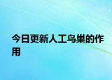 今日更新人工鸟巢的作用