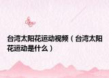 台湾太阳花运动视频（台湾太阳花运动是什么）
