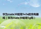 华为mate30能用5v2a的充电器吗（华为mate30能用5g吗）