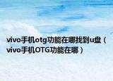 vivo手机otg功能在哪找到u盘（vivo手机OTG功能在哪）