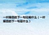 一叶障目的下一句比喻什么（一叶障目的下一句是什么）