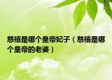 慈禧是哪个皇帝妃子（慈禧是哪个皇帝的老婆）