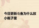今日更新斗鱼为什么放小瓶子里