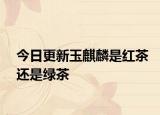今日更新玉麒麟是红茶还是绿茶