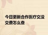 今日更新合作医疗交没交费怎么查