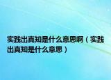 实践出真知是什么意思啊（实践出真知是什么意思）