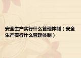 安全生产实行什么管理体制（安全生产实行什么管理体制）