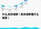 什么,粒米成箩（粒米成箩是什么意思）