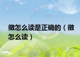 徵怎么读是正确的（徵怎么读）