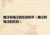 脚注和尾注的区别知乎（脚注和尾注的区别）