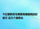今日更新青岛哪里有摘樱桃的好地方 这几个推荐去