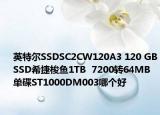 英特尔SSDSC2CW120A3 120 GBSSD希捷梭鱼1TB  7200转64MB单碟ST1000DM003哪个好