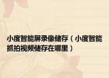 小度智能屏录像储存（小度智能抓拍视频储存在哪里）