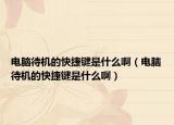电脑待机的快捷键是什么啊（电脑待机的快捷键是什么啊）