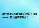 iphonexr怎么拍动态照片（iphonexr怎么拍动态照片）
