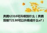 奔腾t2310可升级到什么（奔腾双核T2130可以升级成什么u?）