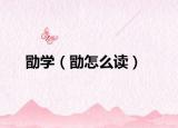 勖学（勖怎么读）