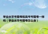 学业水平考籍号和高考考籍号一样吗（学业水平考籍号怎么查）